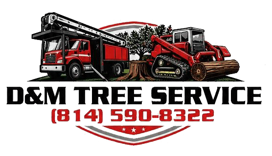 D&M Tree Service company logo