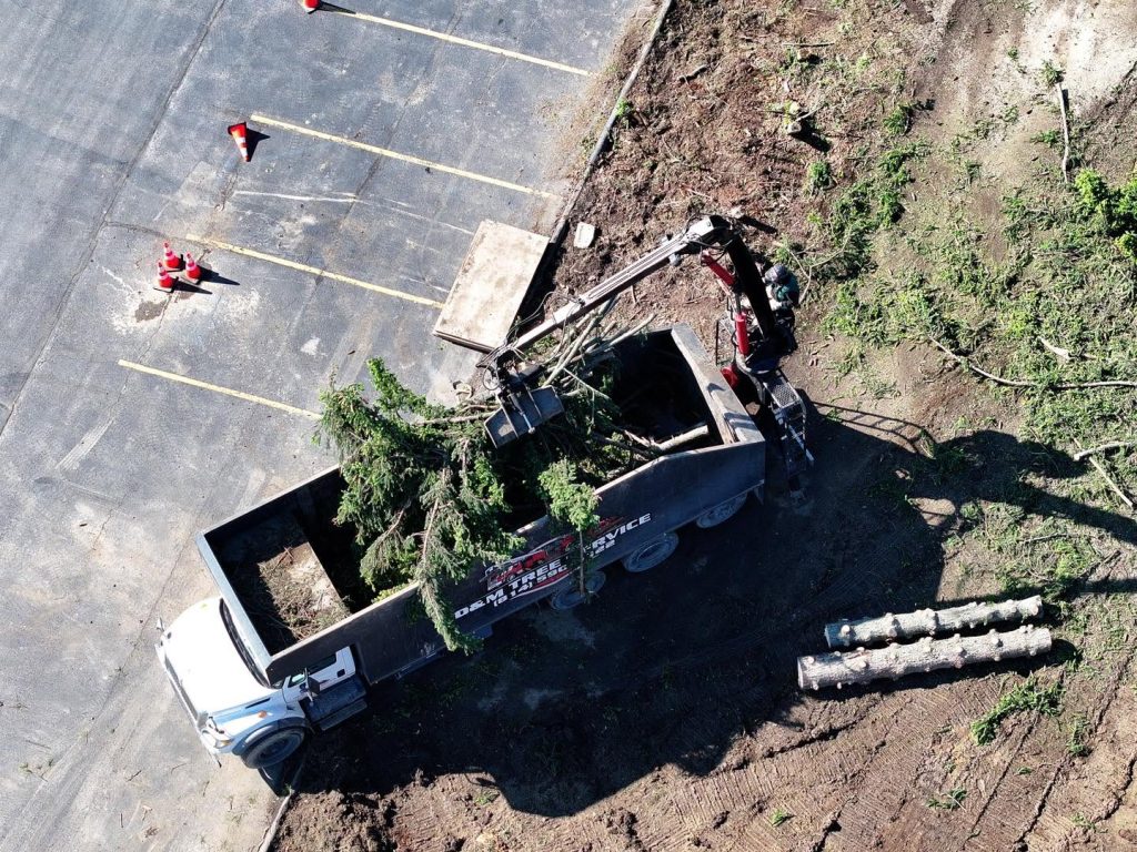 Tree Removal in in DuBois PA
